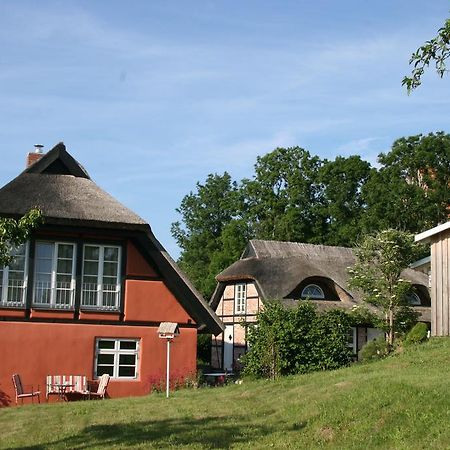 הוילה Neuenkirchen auf Rugen Dorphus מראה חיצוני תמונה